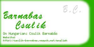 barnabas csulik business card